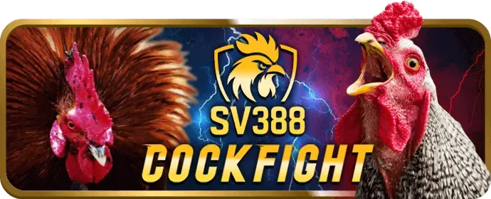 Phân tích cách chơi cá cược thể thao sv366 casino